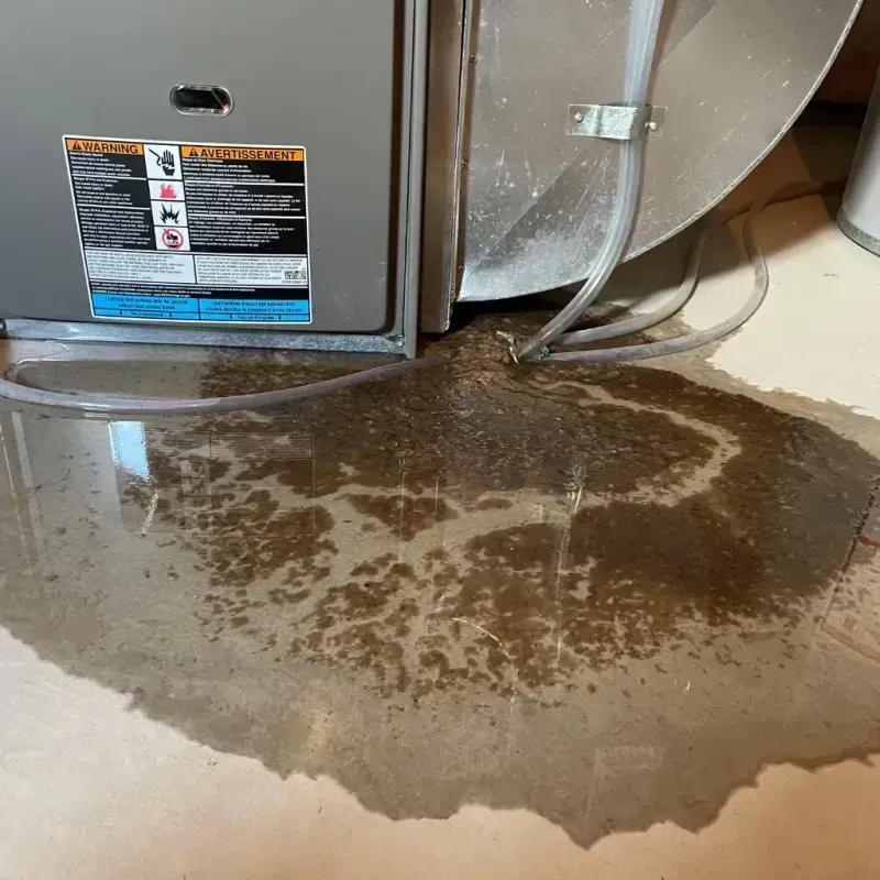 Appliance Leak Cleanup in Bradley Beach, NJ